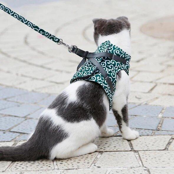 Micky | Katzengeschirr